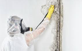 Best Mold Remediation for Healthcare Facilities in Granite Falls, WA